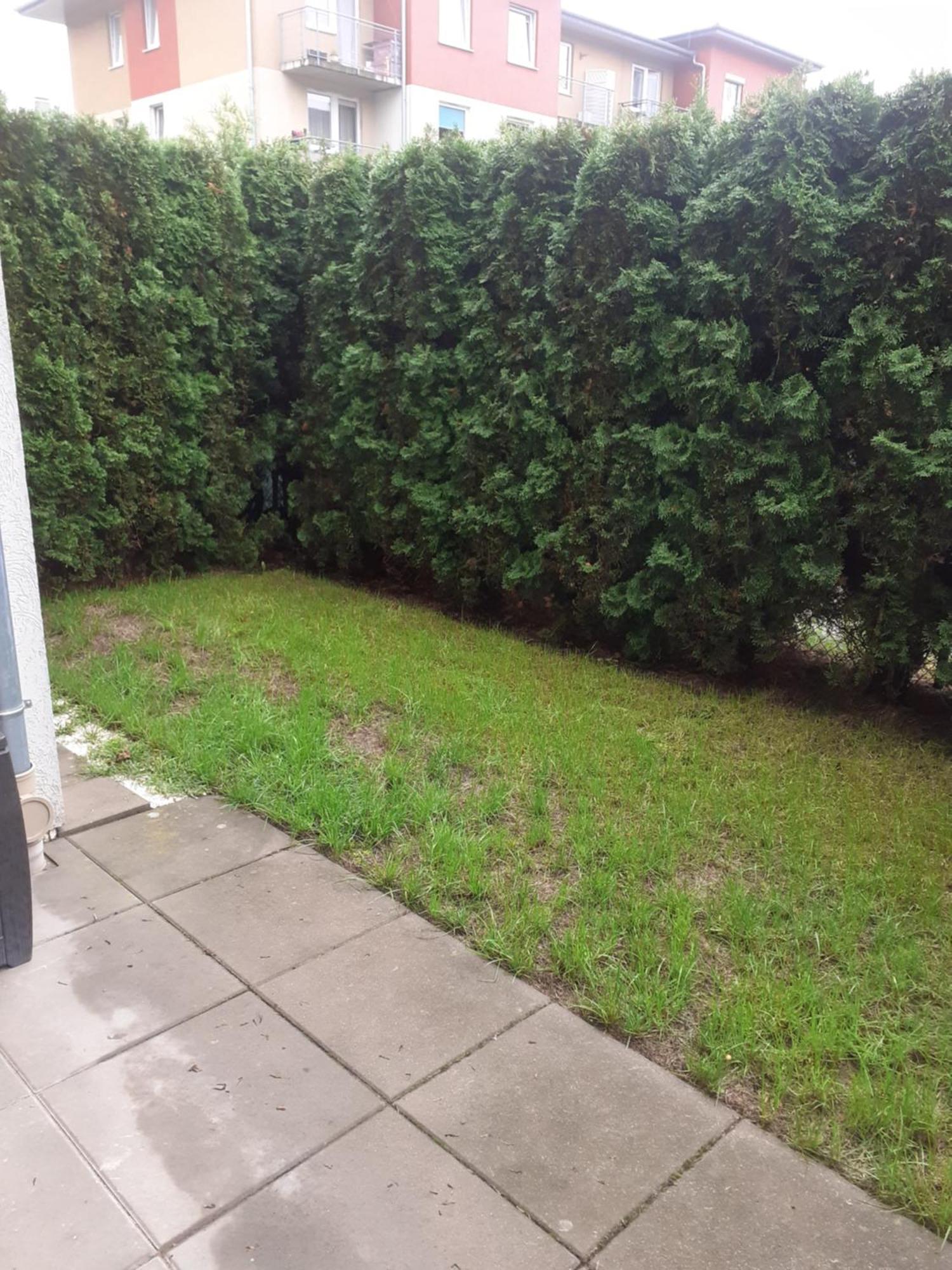 Sloneczny Apartament Z Malym Ogrodkiem Wejherowo Eksteriør billede